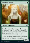 Druida del Paradiso