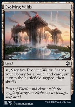 /prodotti/1/afr/adventures-in-the-forgotten-realms-evolving-wilds-570960.jpg