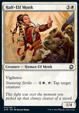 /prodotti/1/afr/adventures-in-the-forgotten-realms-half-elf-monk-571239.jpg