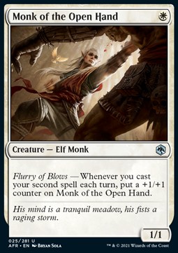 /prodotti/1/afr/adventures-in-the-forgotten-realms-monk-of-the-open-hand-571733.jpg