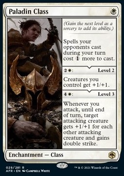 /prodotti/1/afr/adventures-in-the-forgotten-realms-paladin-class-571538.jpg