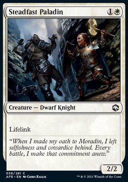 /prodotti/1/afr/adventures-in-the-forgotten-realms-steadfast-paladin-571844.jpg