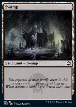 /prodotti/1/afr/adventures-in-the-forgotten-realms-swamp-v4-569031.jpg