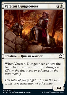 /prodotti/1/afr/adventures-in-the-forgotten-realms-veteran-dungeoneer-571329.jpg