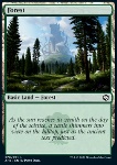 Foresta