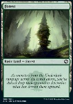 Foresta
