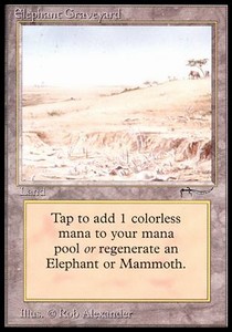 /prodotti/1/arn/arabian-nights-elephant-graveyard-6867.jpg