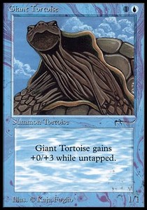 /prodotti/1/arn/arabian-nights-giant-tortoise-v1-6800.jpg