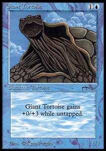 /prodotti/1/arn/arabian-nights-giant-tortoise-v2-6799.jpg