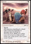 Camel