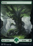 Foresta