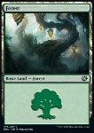 Foresta