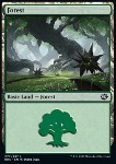 Foresta