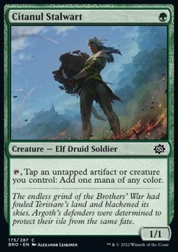/prodotti/1/bro/the-brothers-war-citanul-stalwart-683424.jpg