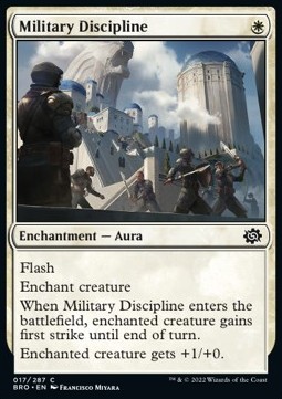 /prodotti/1/bro/the-brothers-war-military-discipline-683376.jpg