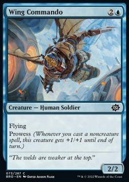 /prodotti/1/bro/the-brothers-war-wing-commando-683393.jpg