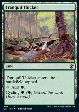 /prodotti/1/c21/commander-strixhaven-tranquil-thicket-559133.jpg