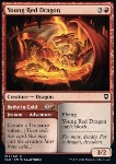 Young Red Dragon