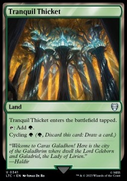 /prodotti/1/clr/commander-the-lord-of-the-rings-tales-of-middle-earth-tranquil-thicket-717397.jpg