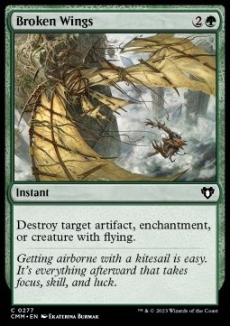 /prodotti/1/cmm/broken-wings-723682.jpg