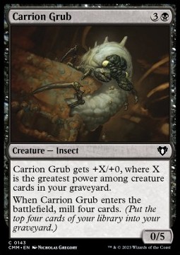 /prodotti/1/cmm/carrion-grub-723499.jpg