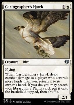/prodotti/1/cmm/cartographers-hawk-721866.jpg
