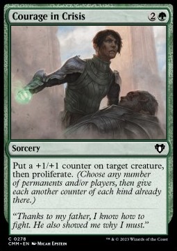 /prodotti/1/cmm/courage-in-crisis-723519.jpg