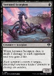 Scorpione Dentellato