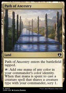 /prodotti/1/cmm/path-of-ancestry-721724.jpg