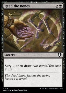 /prodotti/1/cmm/read-the-bones-723673.jpg