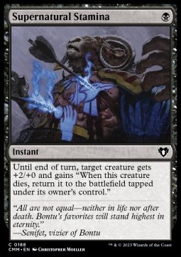 /prodotti/1/cmm/supernatural-stamina-723465.jpg