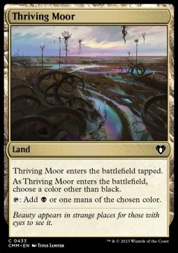 /prodotti/1/cmm/thriving-moor-721873.jpg