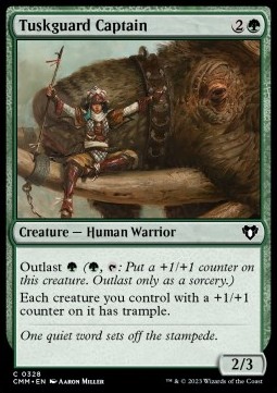 /prodotti/1/cmm/tuskguard-captain-723692.jpg