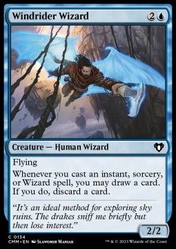 /prodotti/1/cmm/windrider-wizard-721934.jpg