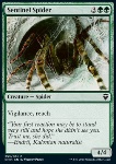 Ragno Sentinella