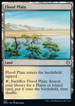 /prodotti/1/dmc/commander-dominaria-united-flood-plain-672223.jpg