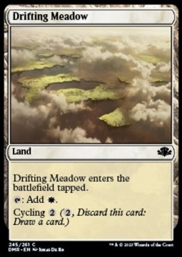 /prodotti/1/dmr/dominaria-remastered-drifting-meadow-688794.jpg