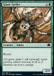 Ragno Gigante