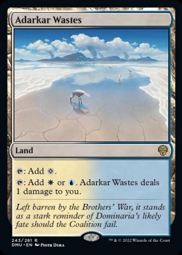 /prodotti/1/dmu/dominaria-united-adarkar-wastes-671393.jpg