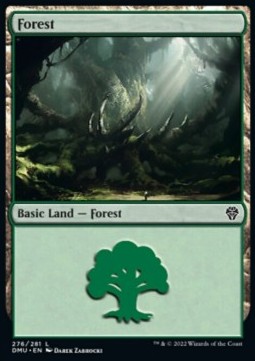 /prodotti/1/dmu/dominaria-united-forest-v3-671650.jpg