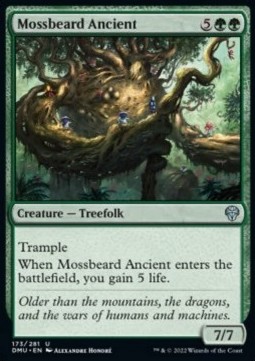/prodotti/1/dmu/dominaria-united-mossbeard-ancient-672354.jpg