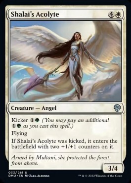 /prodotti/1/dmu/dominaria-united-shalais-acolyte-671325.jpg