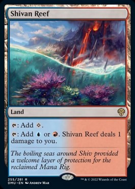 /prodotti/1/dmu/dominaria-united-shivan-reef-671399.jpg