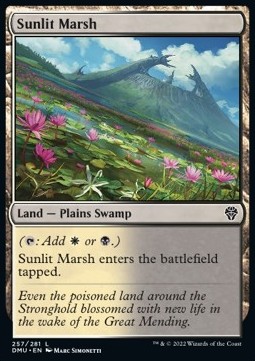 /prodotti/1/dmu/dominaria-united-sunlit-marsh-672710.jpg
