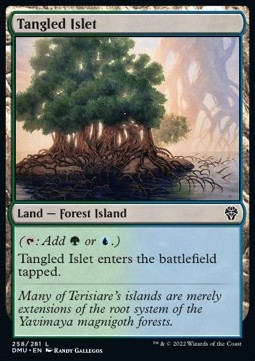 /prodotti/1/dmu/dominaria-united-tangled-islet-672711.jpg