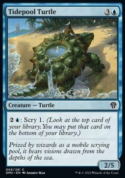 /prodotti/1/dmu/dominaria-united-tidepool-turtle-672659.jpg