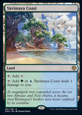 /prodotti/1/dmu/dominaria-united-yavimaya-coast-671403.jpg