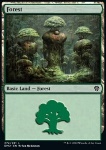 Foresta