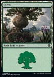 Foresta