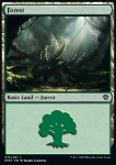 Foresta